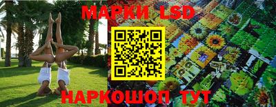 хмурый Обь