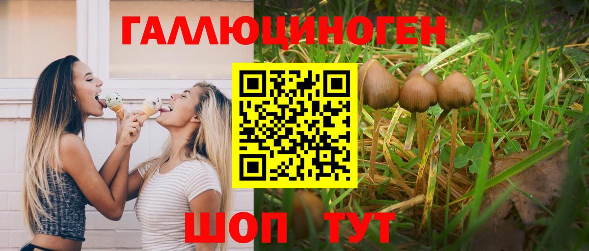 Галлюциногенные грибы прущие грибы Торжок